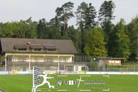 Waldstadion Weismain (1007)