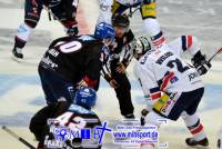 Adler Mannheim vs Eisb&auml;ren Berlin (208)