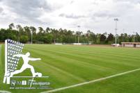 Dietmar-Hopp-Sportpark Walldorf (13)