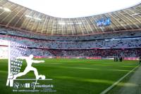 Allianz Arena (10)