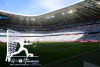 Allianz Arena (3)