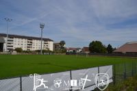 Stade de Bourtzwiller Mulhouse (1035)