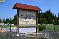 Schmucker Sportfeld Hammelbach (1003)