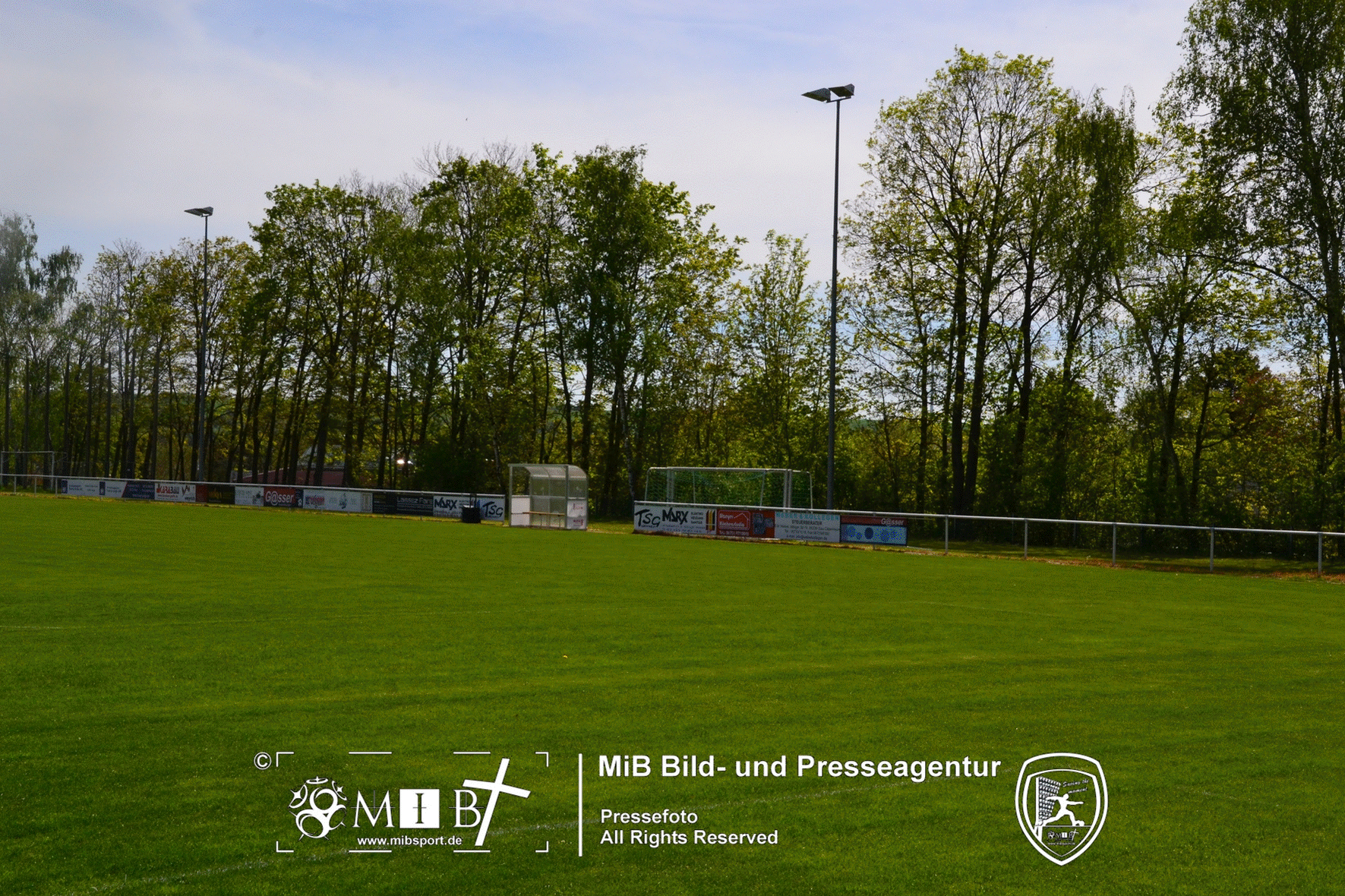 Willi-Stoll-Arena Alzey (1019)