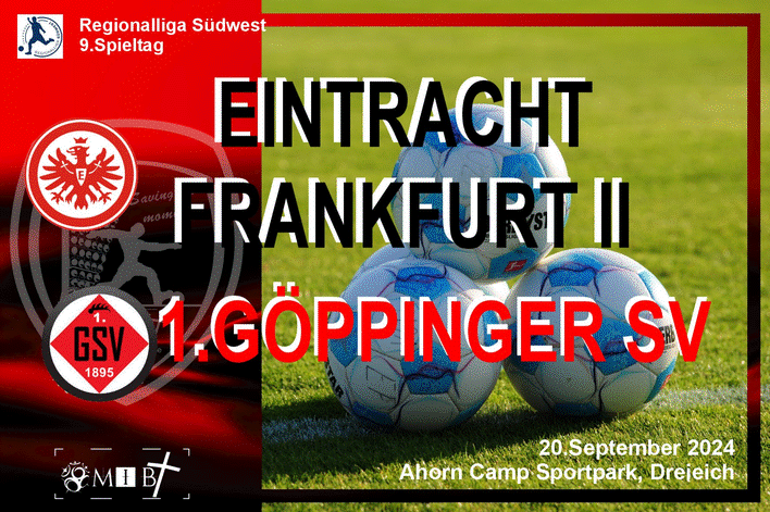 54011117570_c4ef660eeb_o